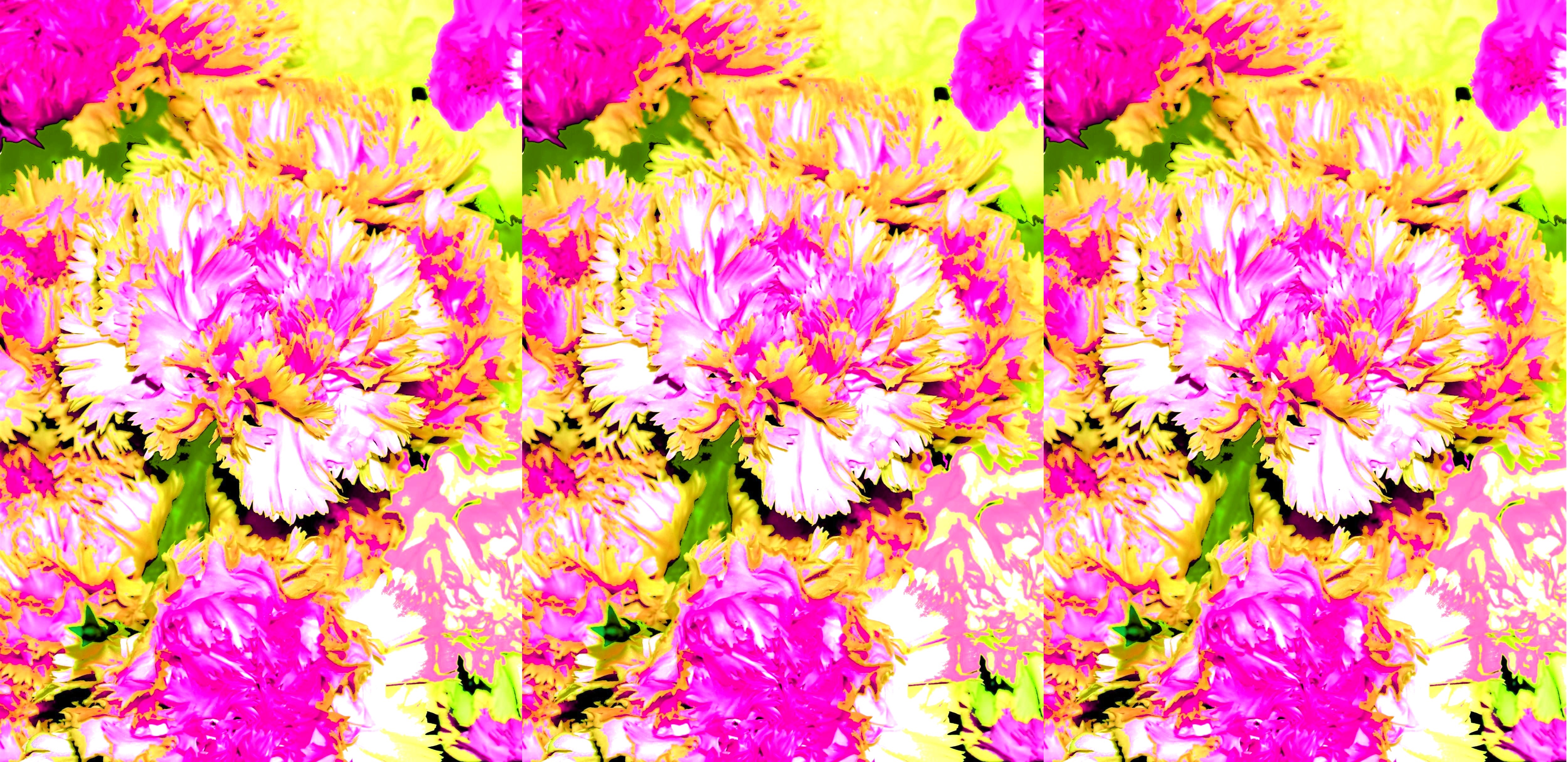 Fondo Claveles3